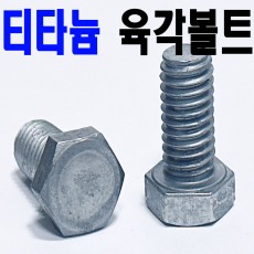 (티타늄) 육각볼트