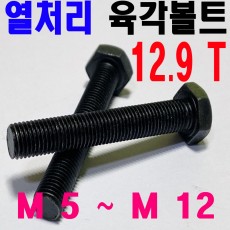 열처리 육각볼트 (12.9T)