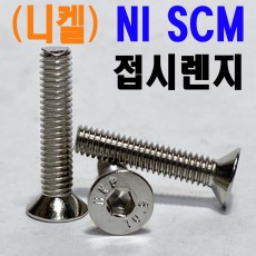 (니켈) NI SCM 접시렌지