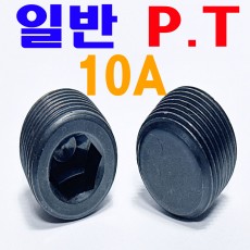 (일반) P . T