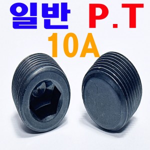 (일반) P . T