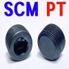 (SCM) P . T