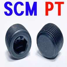 (SCM) P . T
