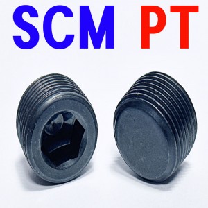(SCM) P . T