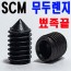 ( SCM ) 뾰족끝 무두렌지