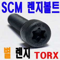 ( SCM ) TORX-별 렌지볼트