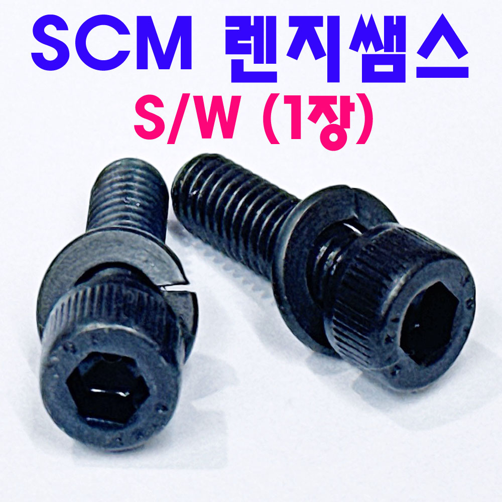 SCM 렌지쌤스1장 ( S/W )