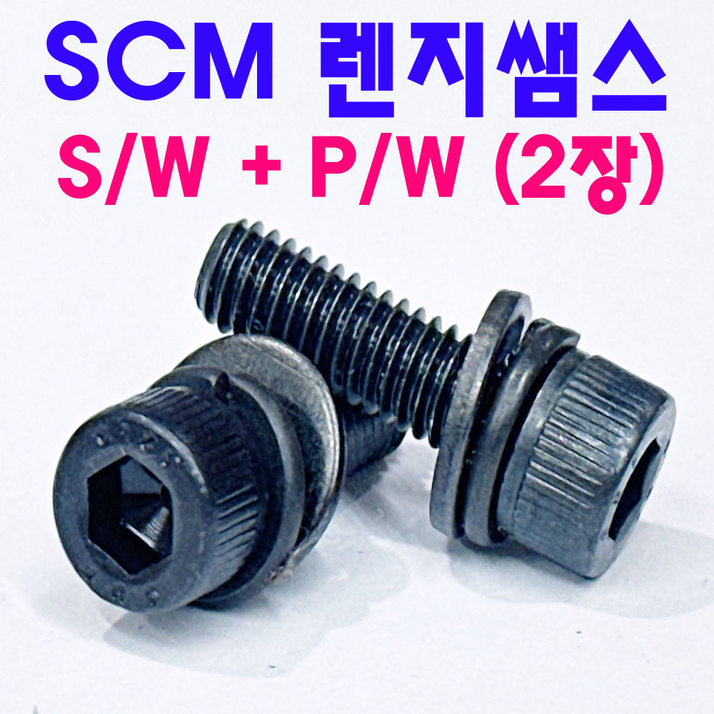 SCM 렌지쌤스 2장 (S/W + P/W)