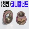 (천연) 코니칼 너트