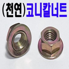 (천연) 코니칼 너트