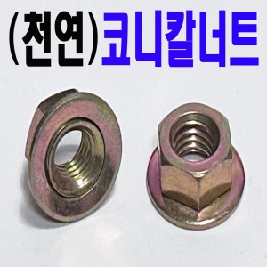 (천연) 코니칼 너트