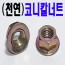 (천연) 코니칼 너트